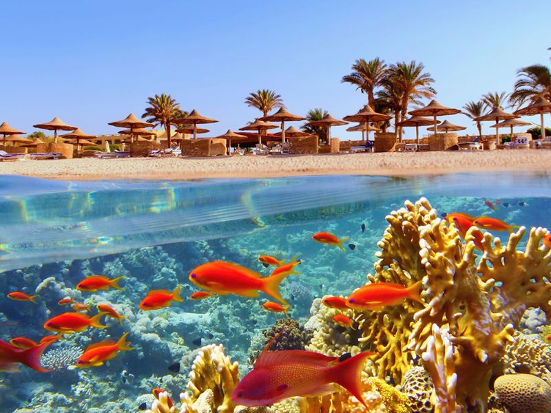 PRESTIJ SHARM EL SHEIKH TURU  (AJET HAVA YOLLARI)