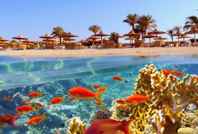 İZMİR ÇIKIŞLI SHARM VE KAHİRE TURU (HER ŞEY DAHİL KONAKLAMA VE EKSTRA TURLAR DAHİL)