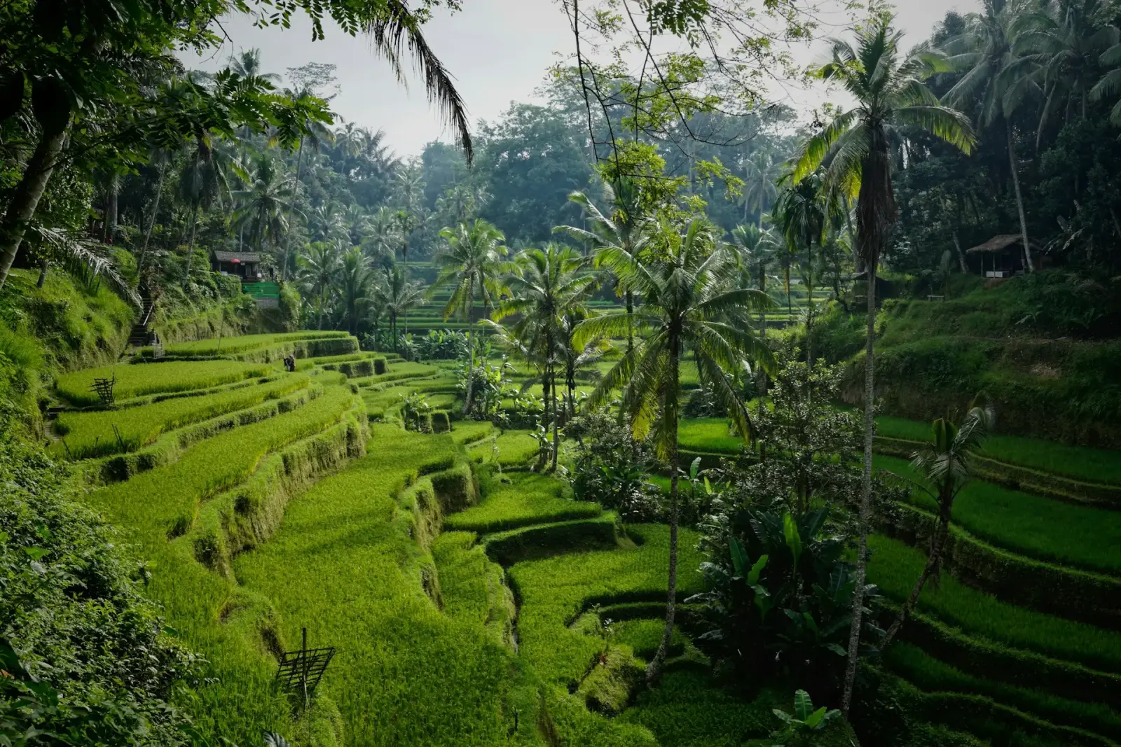Bali Balayı Paketi 1