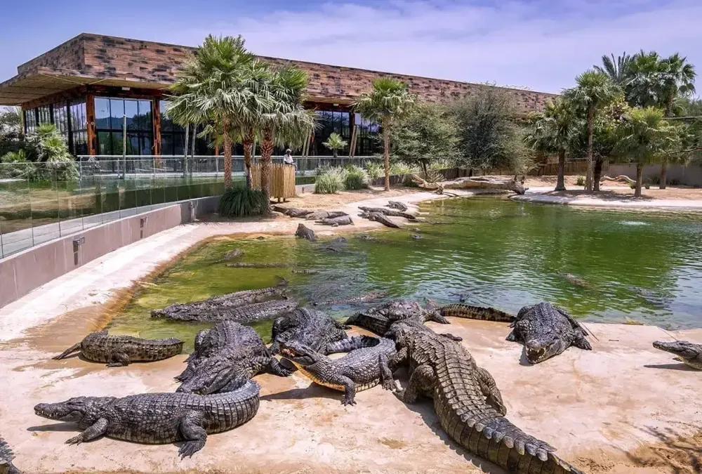 Crocodile Park: Timsahların dünyası