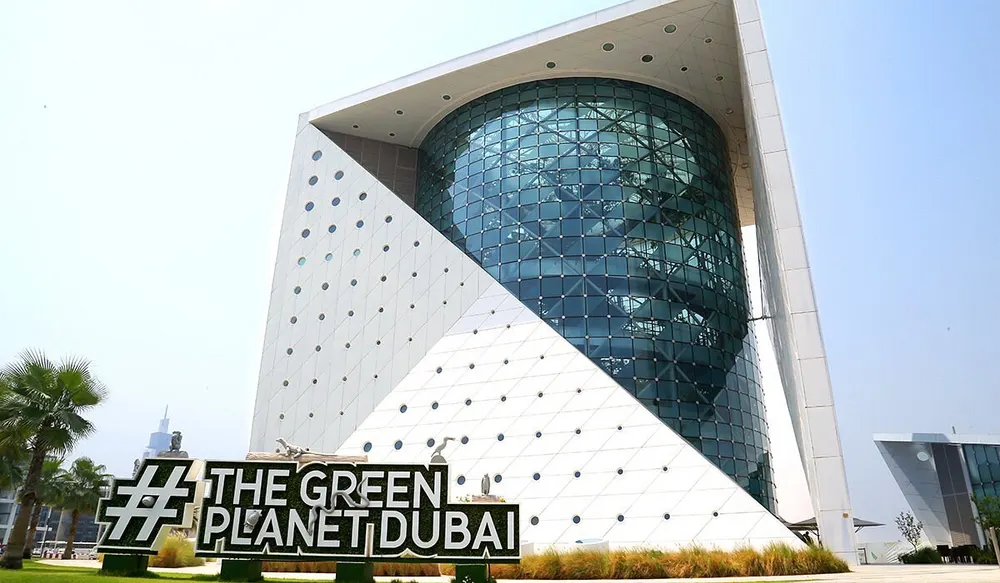 Green Planet: Şehrin ortasında yağmur ormanı