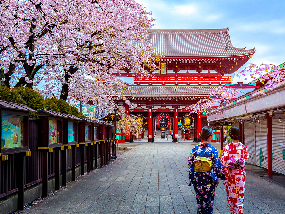 Elegant Japonya Turu 3