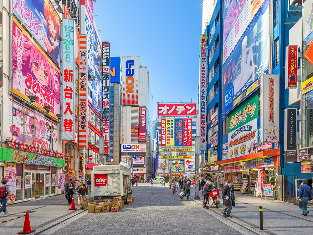Elegant Japonya Turu 5