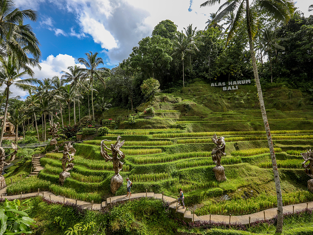Elegant Bali Turu - Emirates Havayolları ile Ekstra Turlar Dahil 5