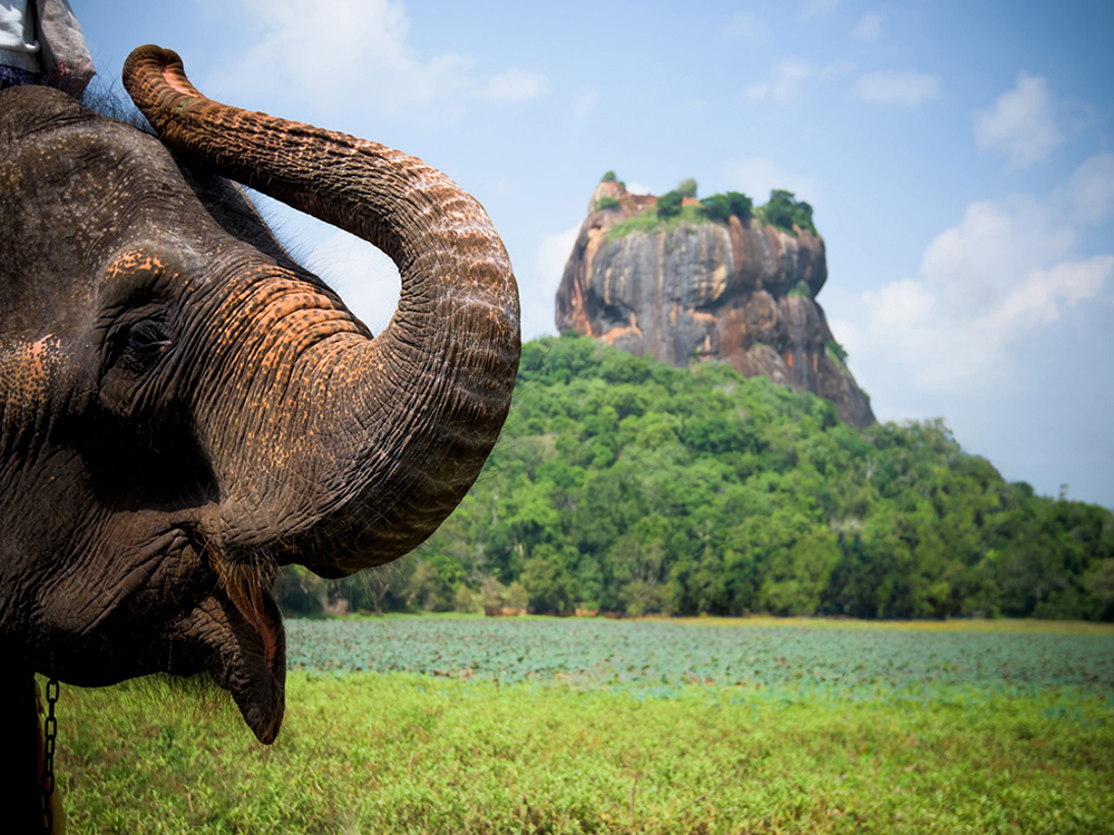 Elegant Sri Lanka Turu - 6 Gece - Türk Havayolları ile Ekstra Turlar Dahil 2